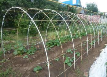 Парник (теплиця) з композитної арматури.