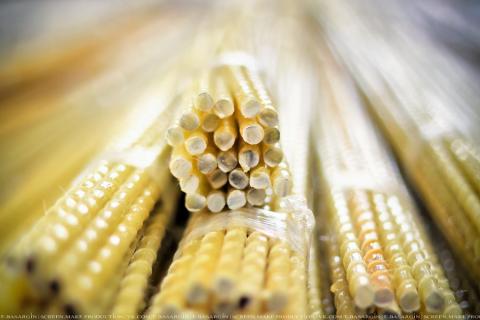 Застосування композитної арматури