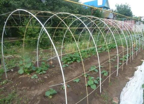 Парник (теплиця) з композитної арматури.